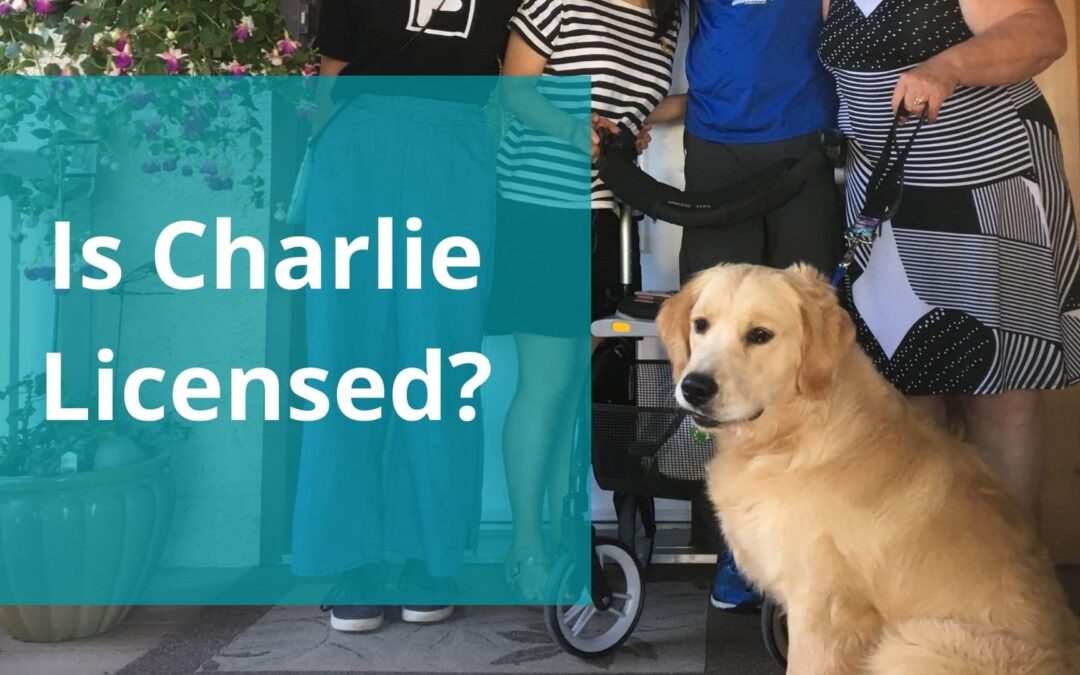 Is Charlie Licensed?
