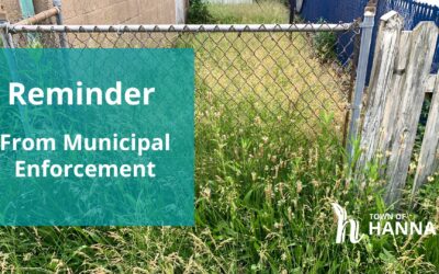 Municipal Enforcement: What is Unsightly?