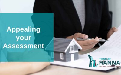 Concerned About Your Assessment?