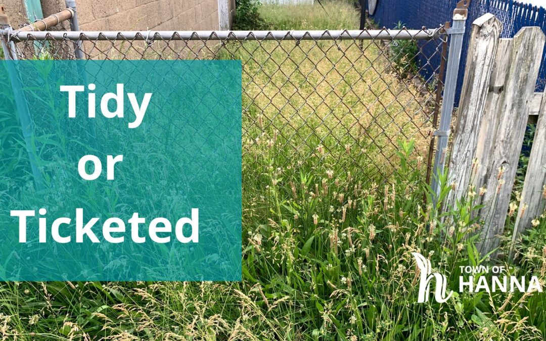 Reminder: Unsightly Yards May Cost You